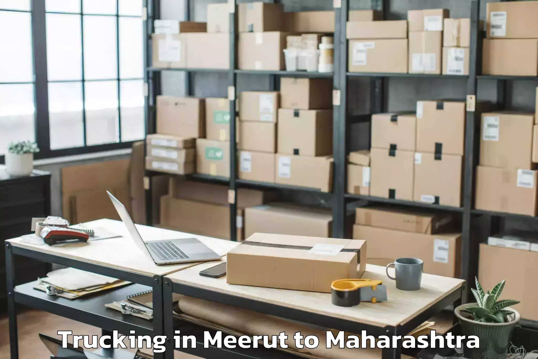 Book Meerut to Sironcha Trucking Online